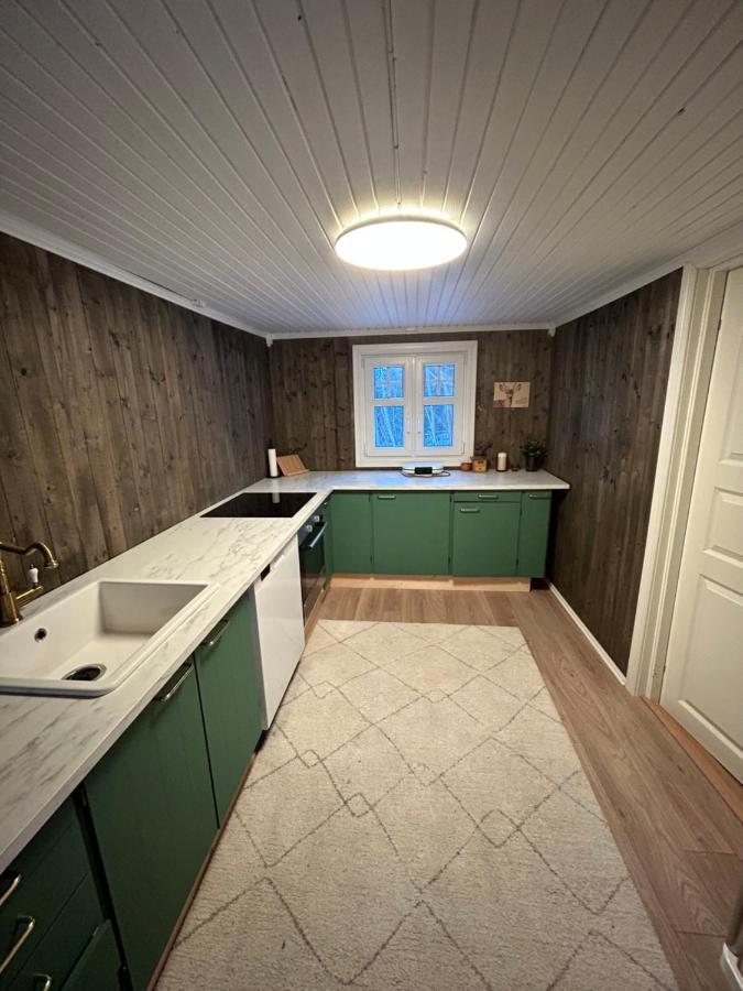Beautiful Cabin By Mjosa. Villa Stange Eksteriør bilde